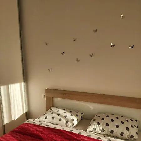 Apartment Miss T
