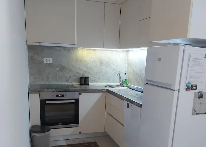 Miss T דירה פודגוריצה