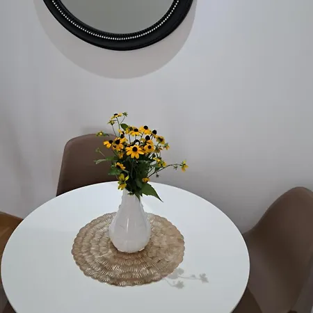 アパート Miss T ポドゴリツァ