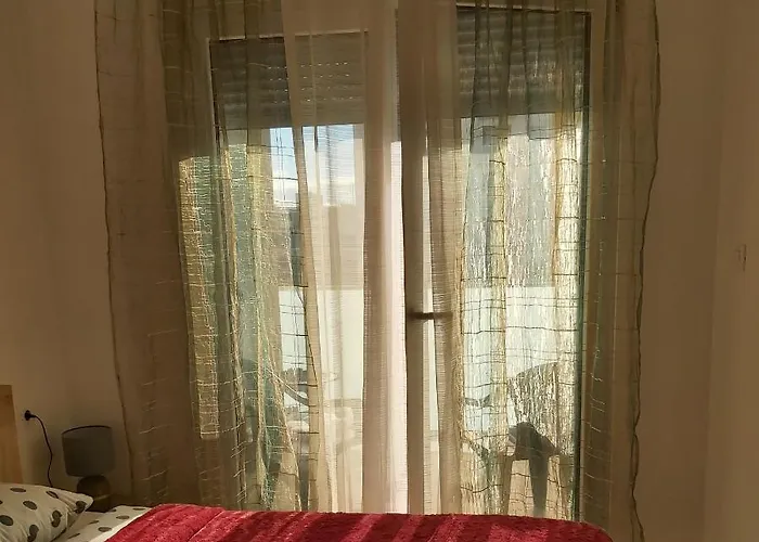 Miss T * Ποντγορίτσα