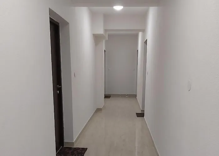 Miss T * Ποντγορίτσα