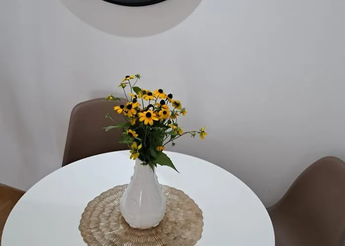 Διαμέρισμα Miss T Ποντγορίτσα